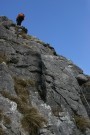 Nic Abseiling, Attermire Scar